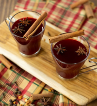 Mulling Spice Packet