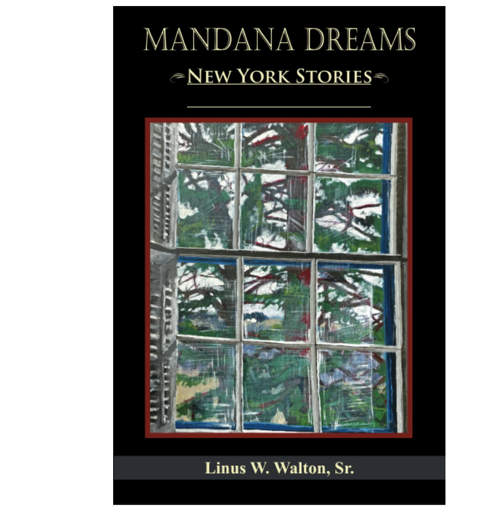 Mandana Dreams: New York Stories