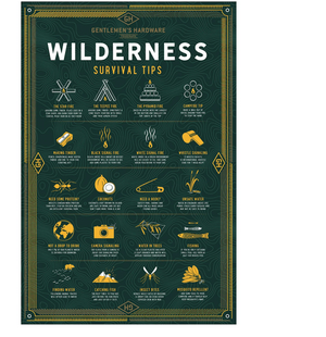 wilderness survival puzzle