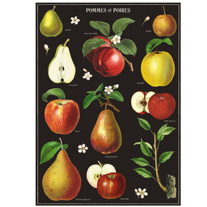 Apples + Pears  Poster