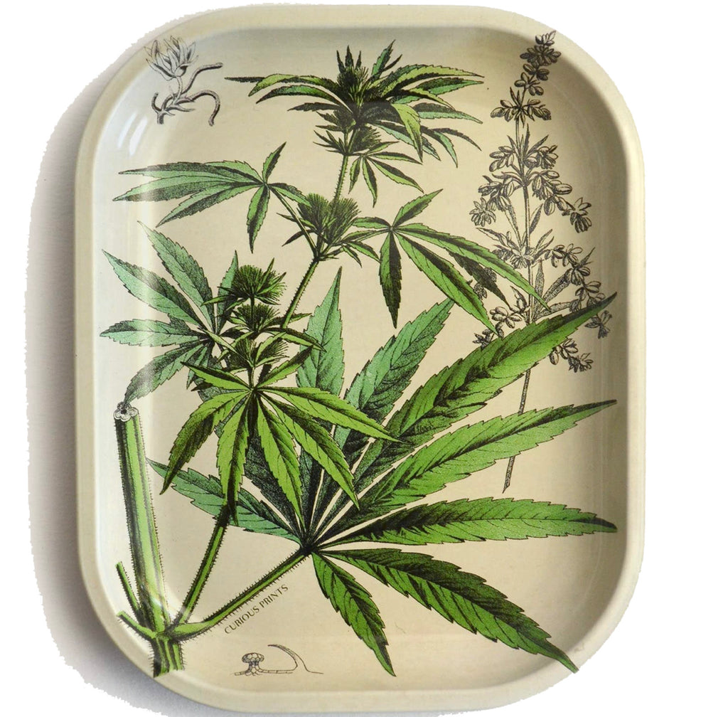 Cannabis Ritual Tray / Vintage Botanical Prin
