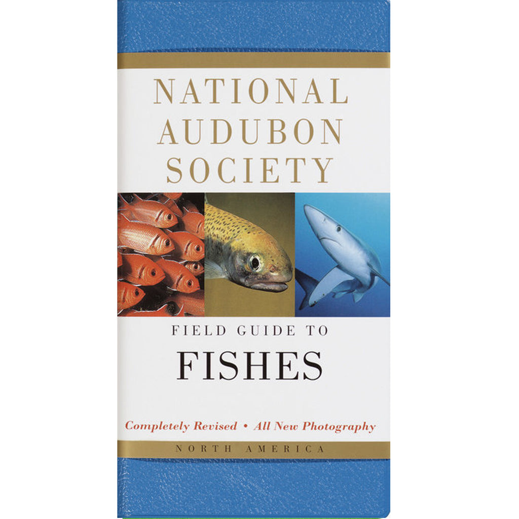 Fishes : National Audubon Society Field Guide
