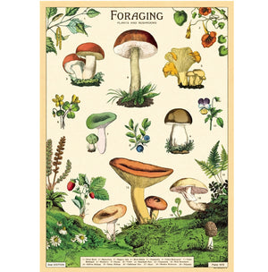 Forage Poster