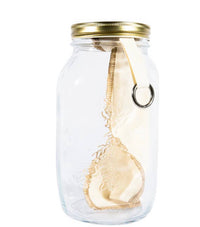 Cold Brew Kit