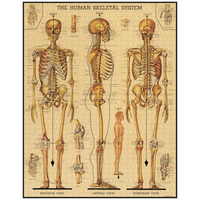 Skeleton 1000 Piece Puzzle