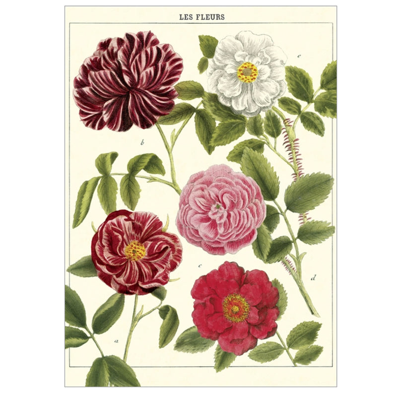Les Fleurs Poster