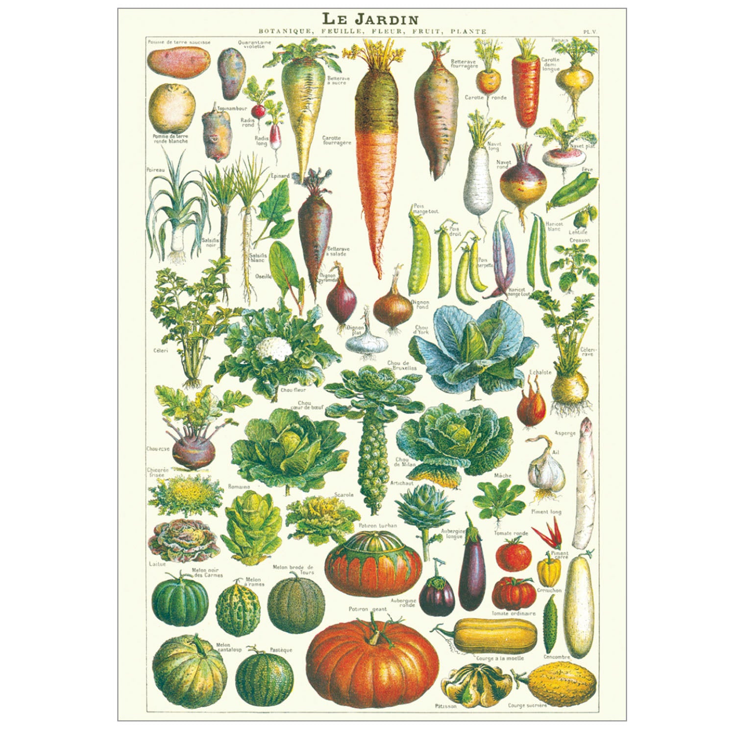 Le Jardin Poster