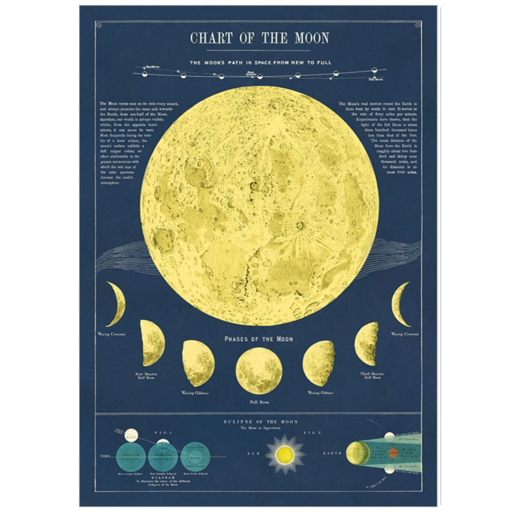 moon chart 2 Poster