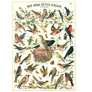 Bird Chart Poster