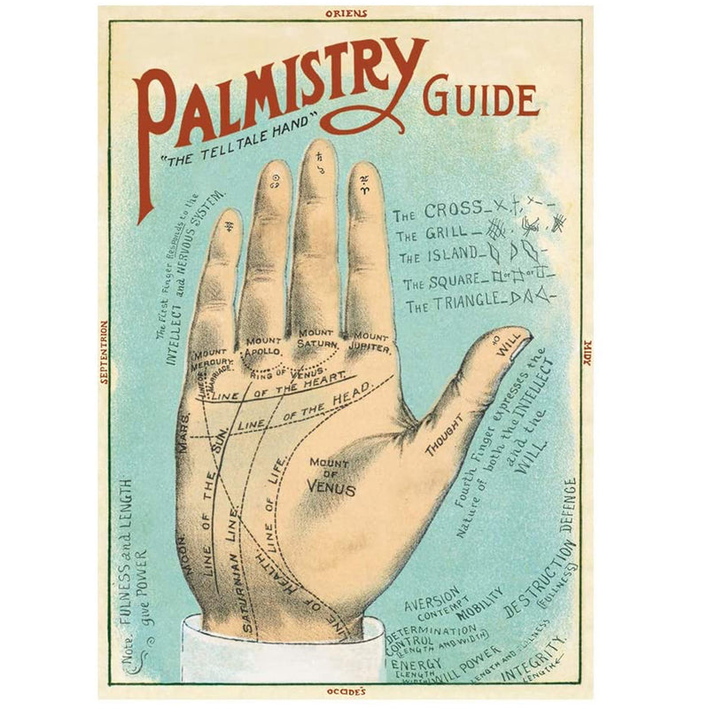 Palmistry Poster