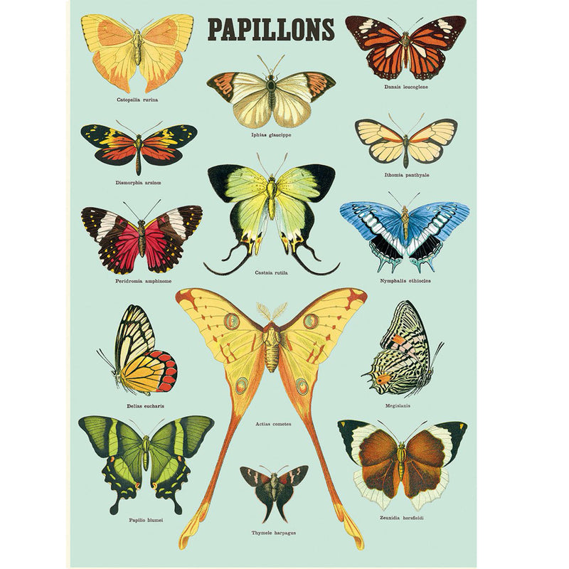 Papillions Poster