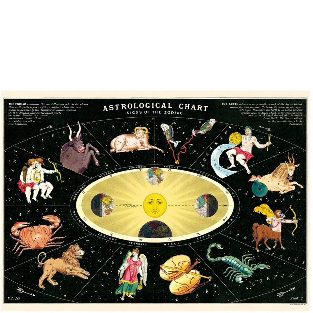 Zodiac 2 Astrological Poster